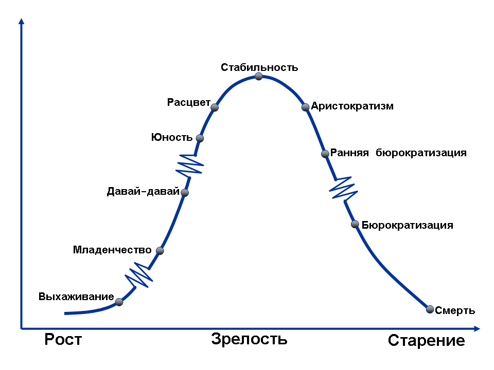 Жизненный цикл организации по Адизесу